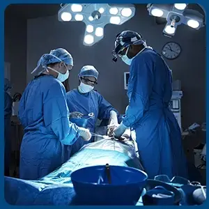 The Recent Advances in Embryo Transfer - SEART