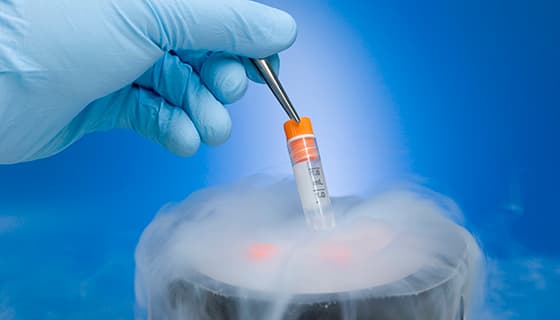 Science of Embryo Freezing