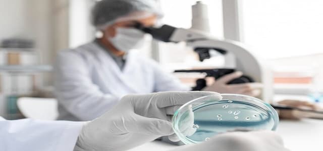 Starting a Career in Clinical Embryology